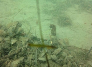  Buceo en un entorno natural 